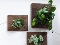A Beautiful Mess Living Wall Art